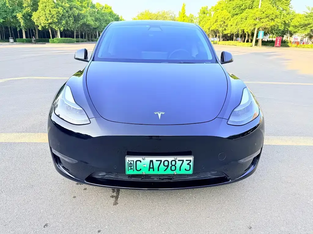Tesla Model Y — фото 4