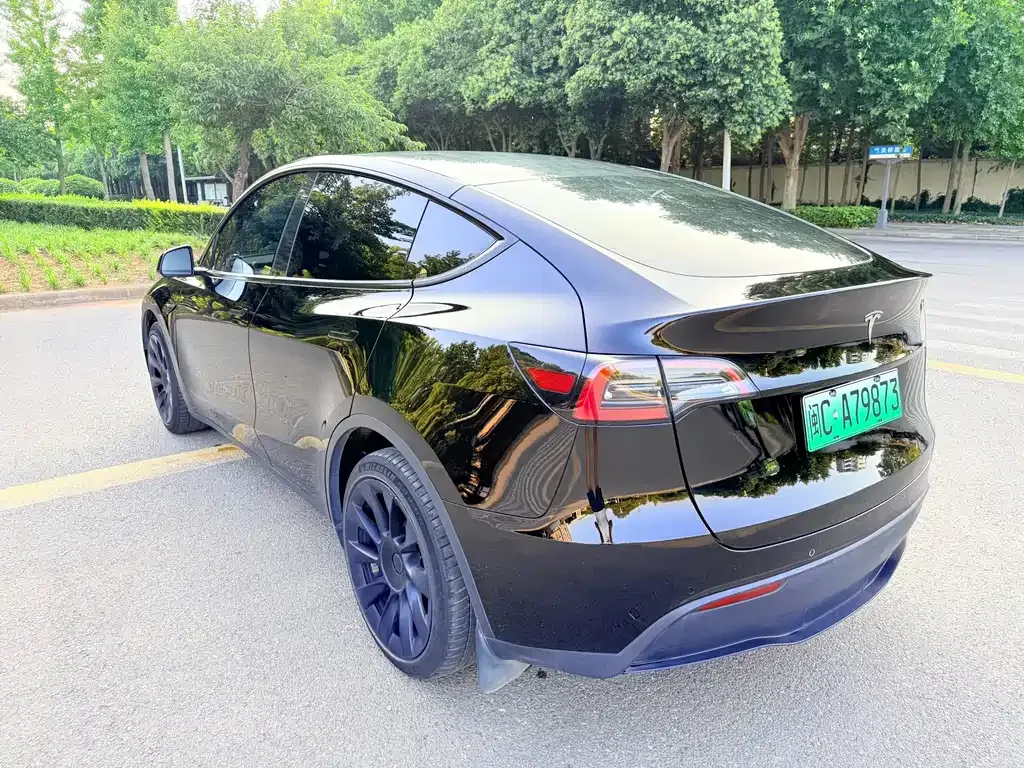 Tesla Model Y — фото 9