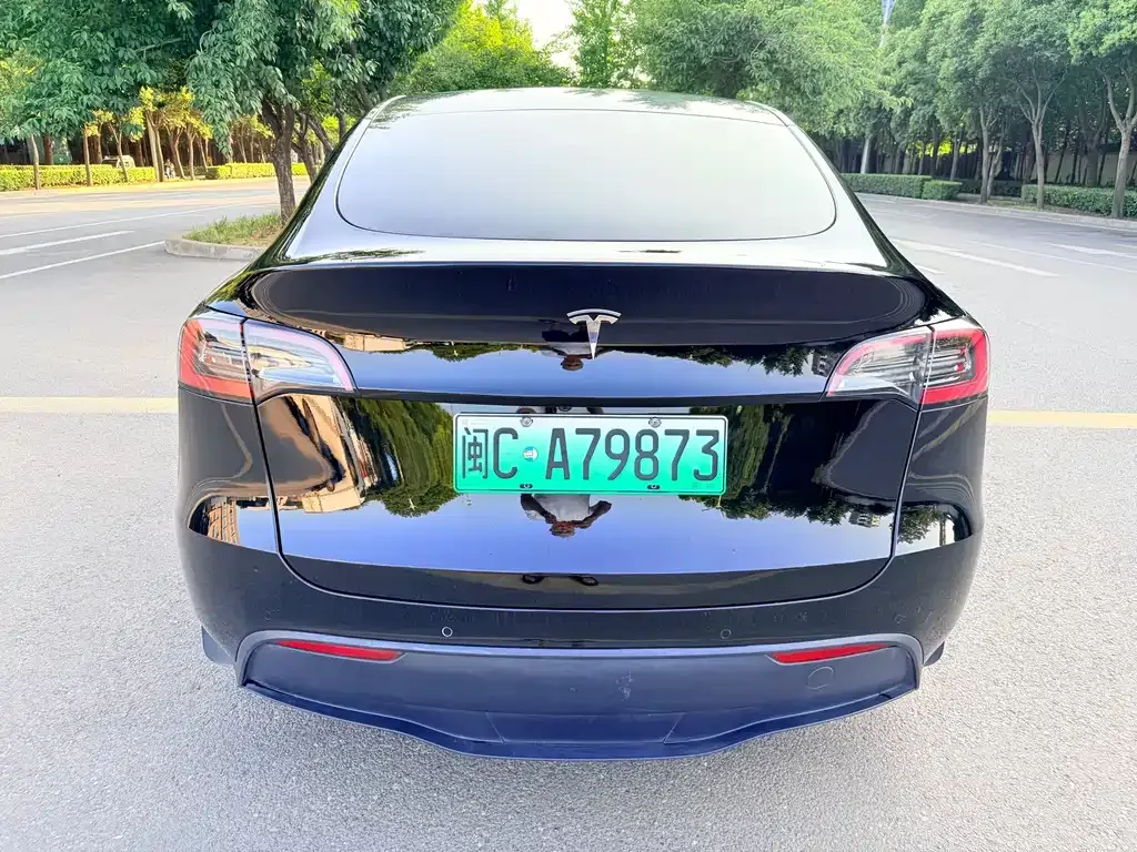 Tesla Model Y — фото 8
