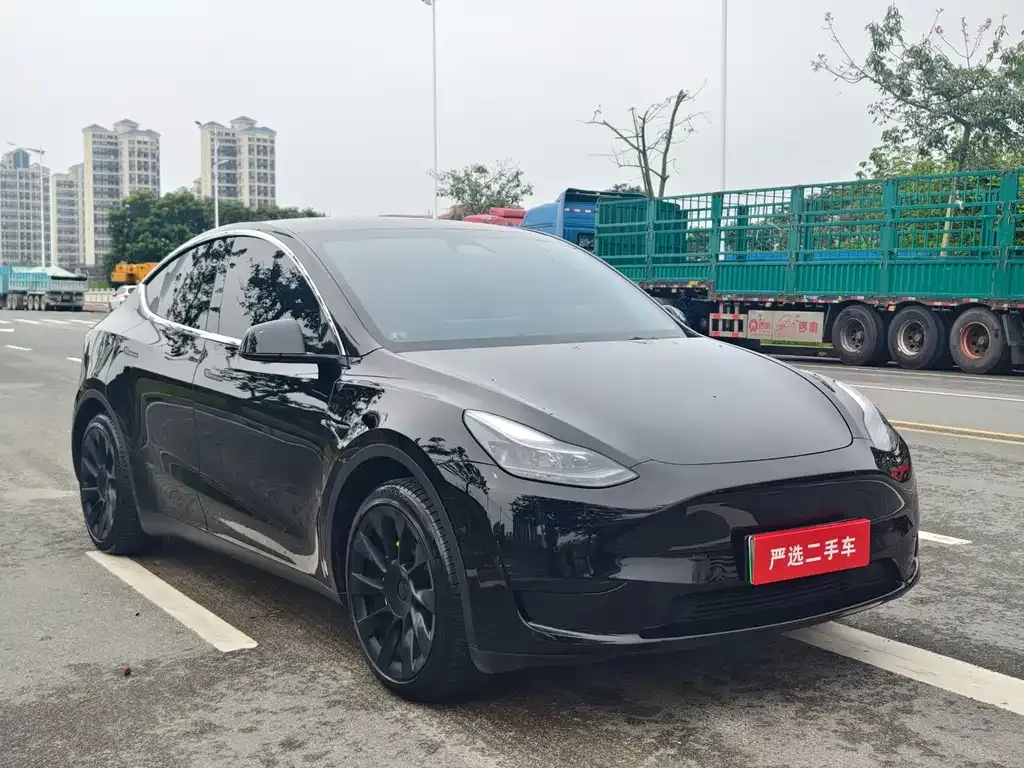 Tesla Model Y — фото 5
