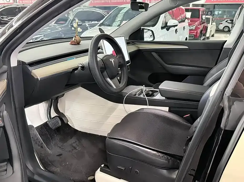 Tesla Model Y — фото 5
