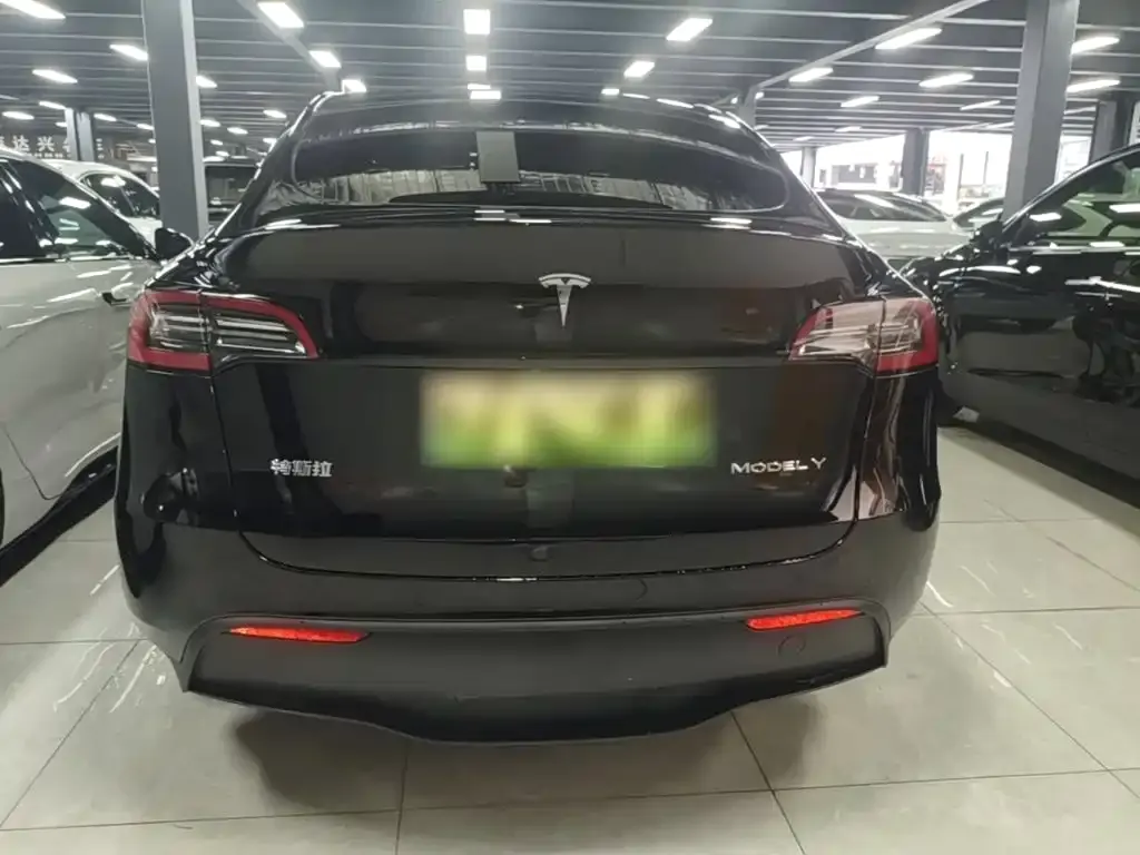 Tesla Model Y — фото 3