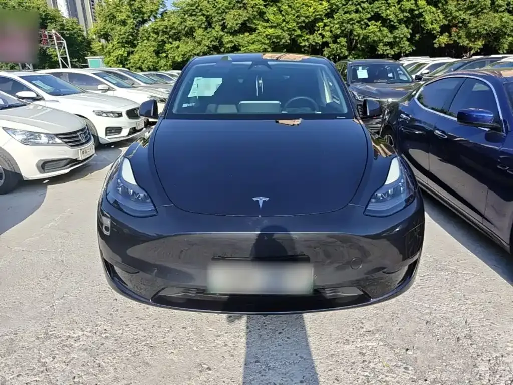 Tesla Model Y — фото 3