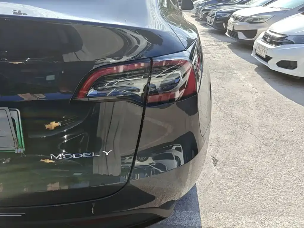 Tesla Model Y — фото 6