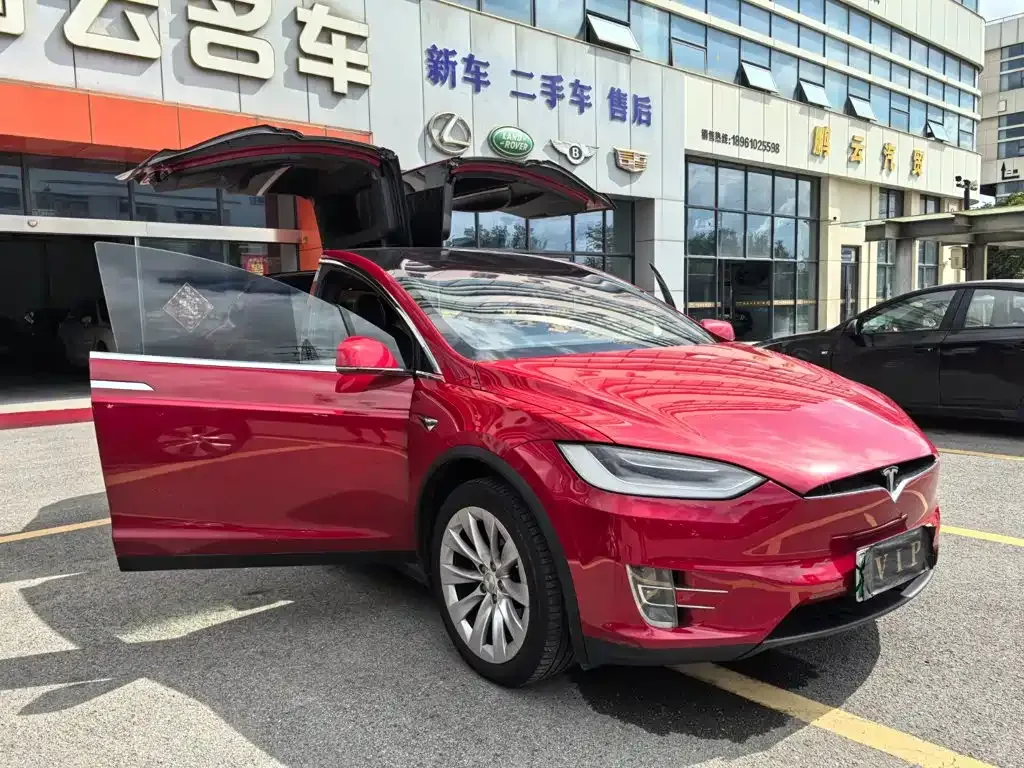 Tesla Model X — фото 9