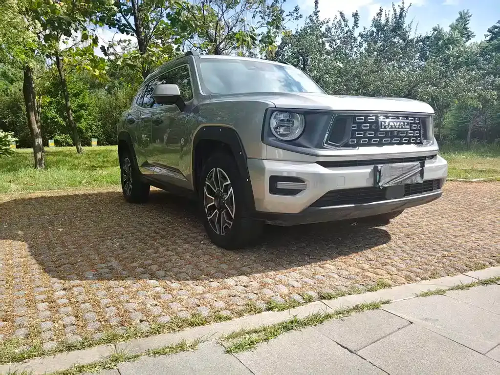 Haval H7 (Big Dog Plus) New Energy — фото 9