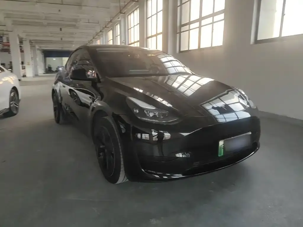 Tesla Model Y — фото 2