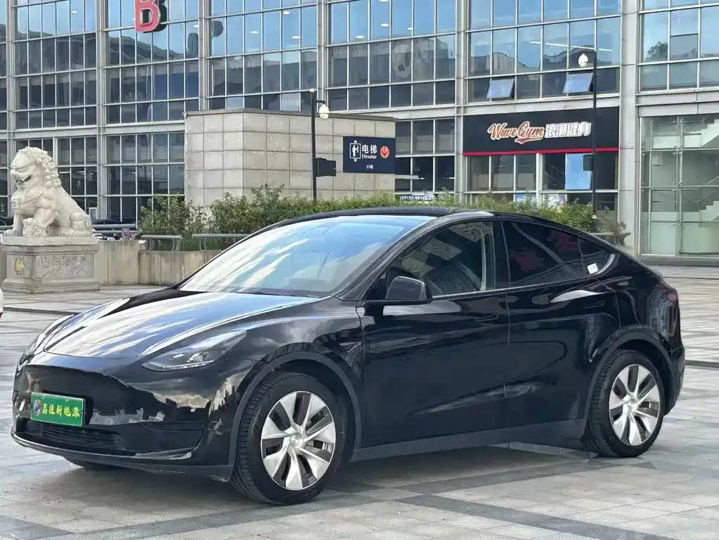 Tesla Model Y — фото 1