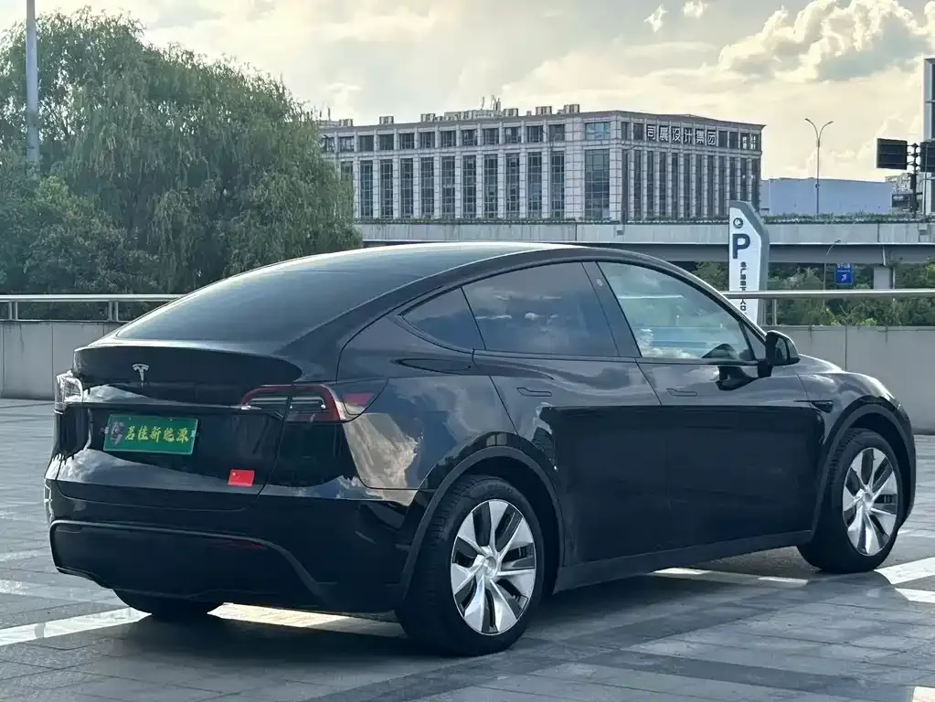 Tesla Model Y — фото 3