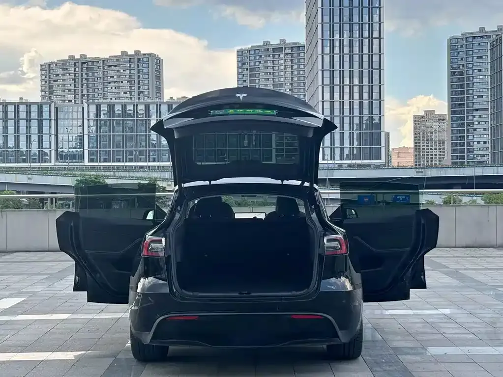 Tesla Model Y — фото 5