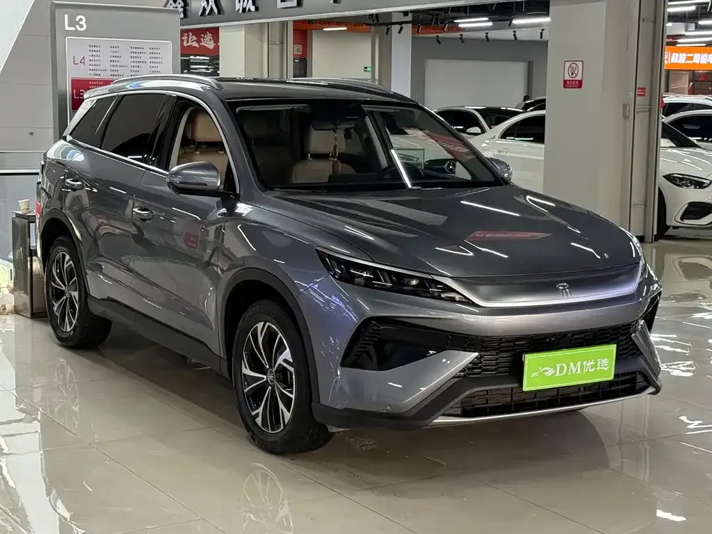BYD Pro New Energy — фото 1