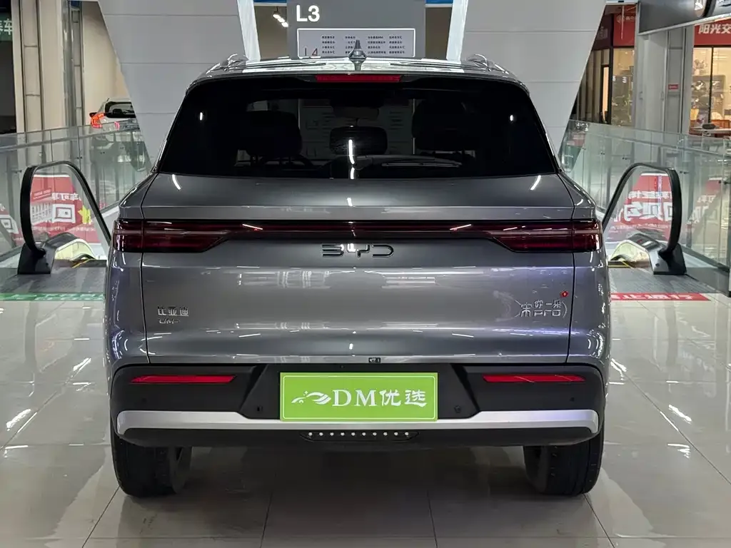 BYD Pro New Energy — фото 7