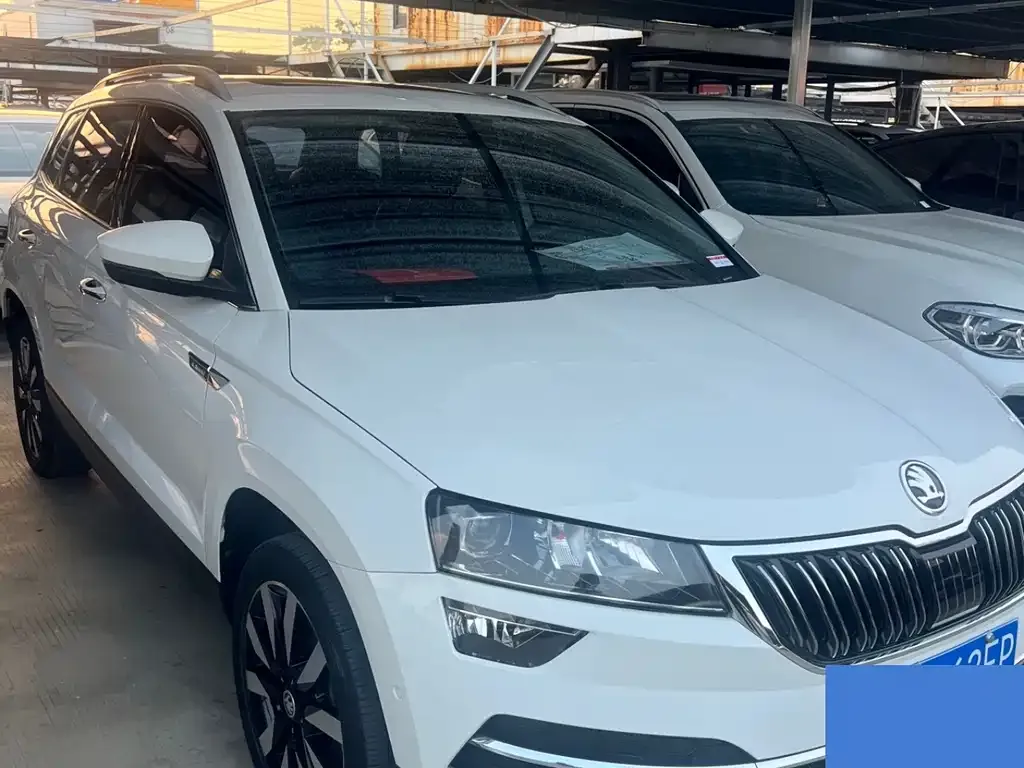 Skoda Karoq — фото 6