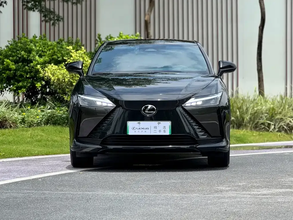 Lexus RZ — фото 7