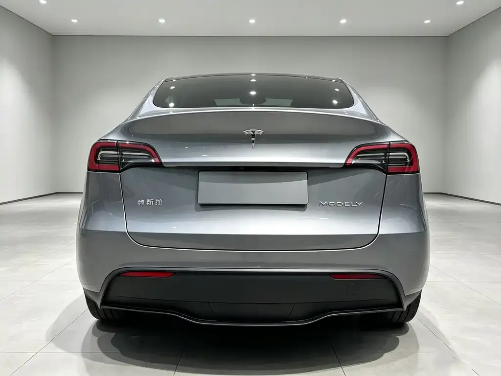 Tesla Model Y — фото 6