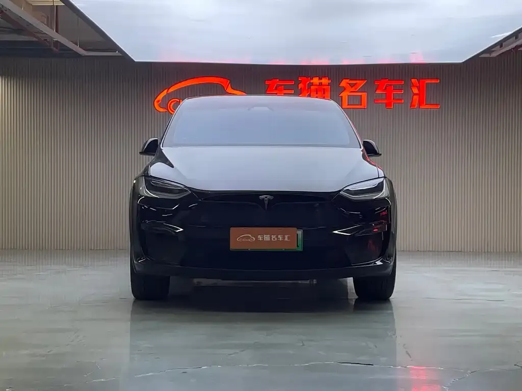 Tesla Model X — фото 2
