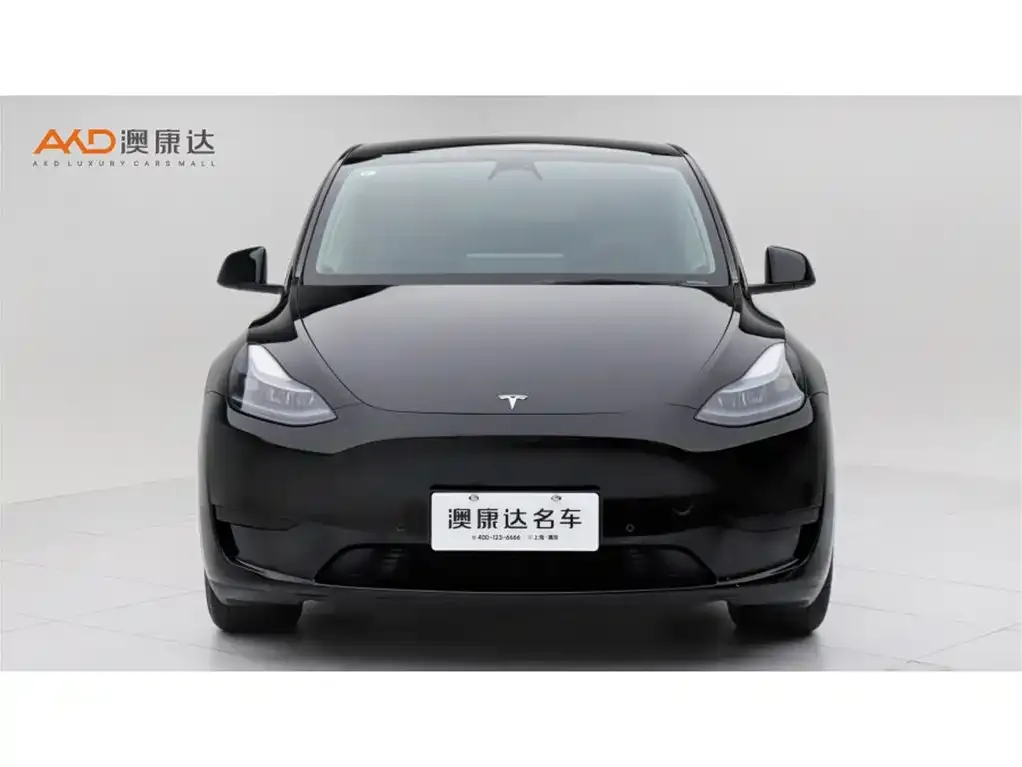 Tesla Model Y — фото 2