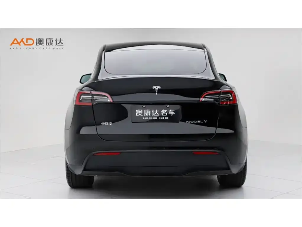 Tesla Model Y — фото 4