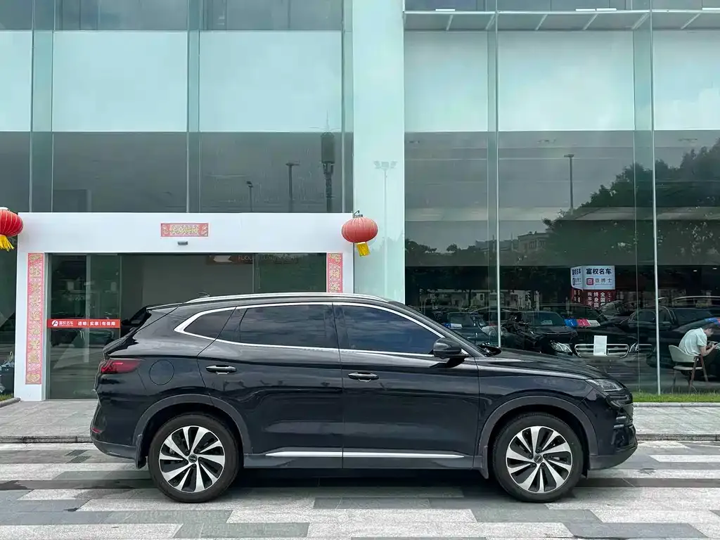 BYD PLUS New Energy — фото 8