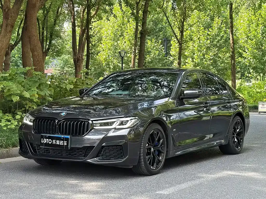 BMW 5 Series (Import) — фото 1