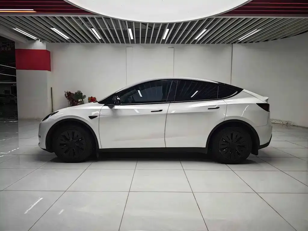 Tesla Model Y — фото 10