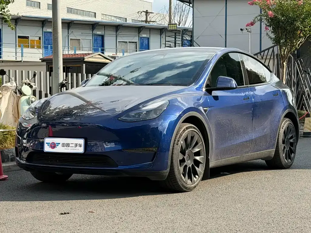 Tesla Model Y — фото 1
