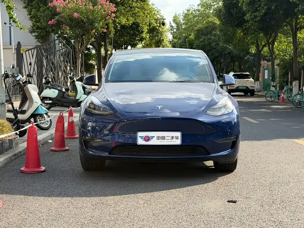 Tesla Model Y — фото 9