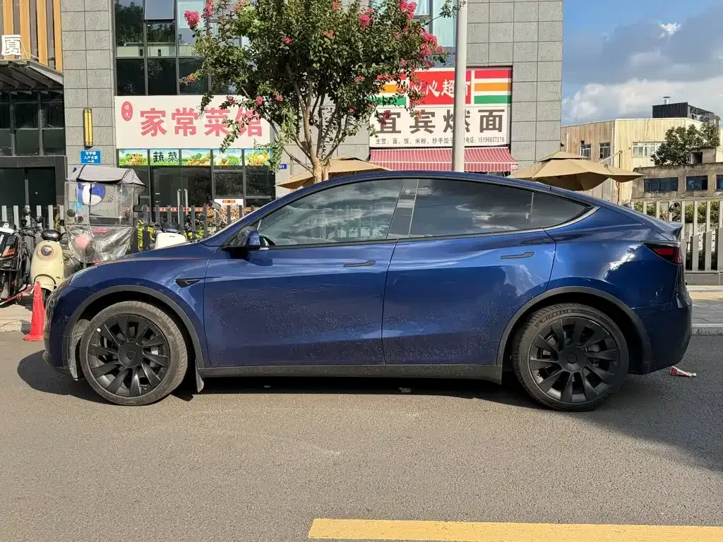 Tesla Model Y — фото 8