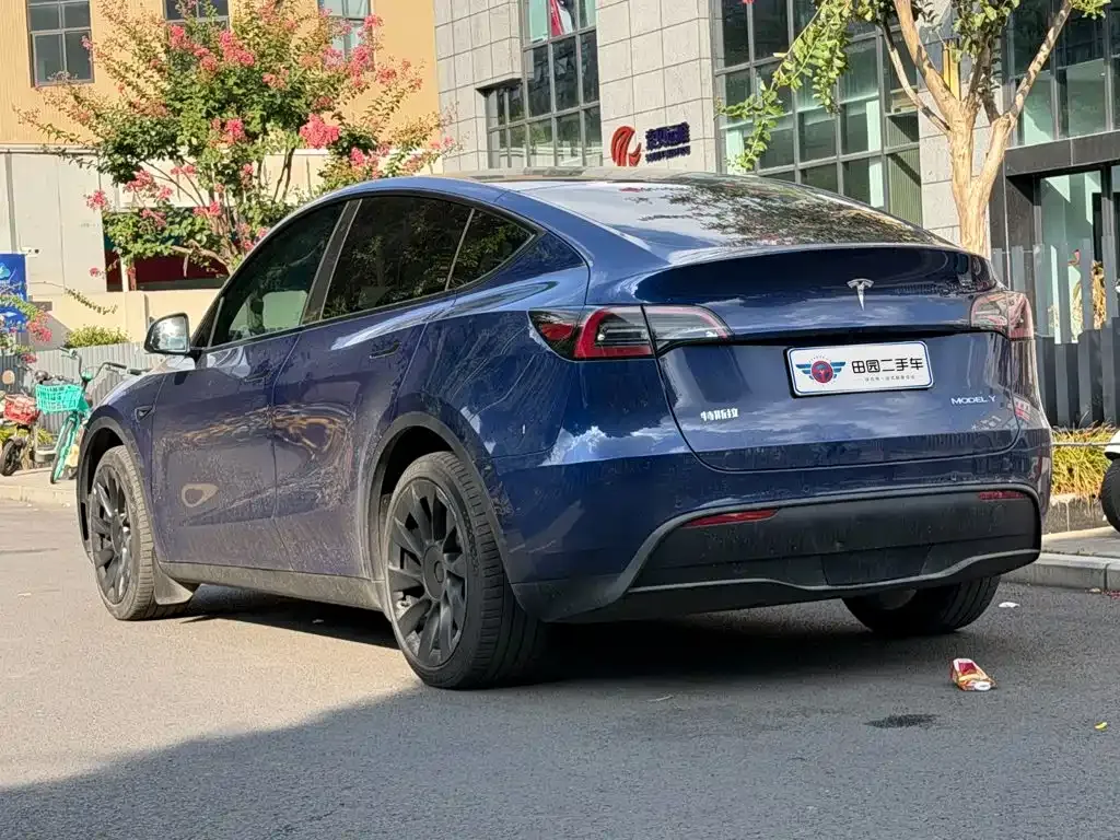 Tesla Model Y — фото 7