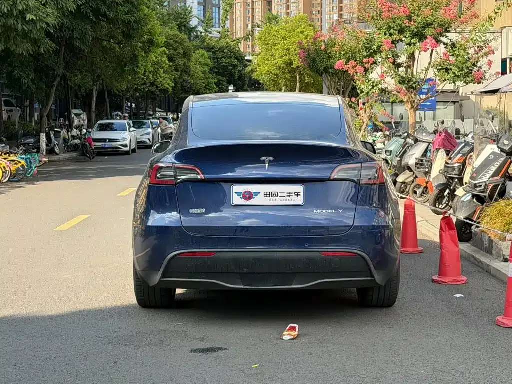 Tesla Model Y — фото 10
