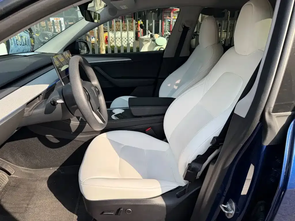 Tesla Model Y — фото 3