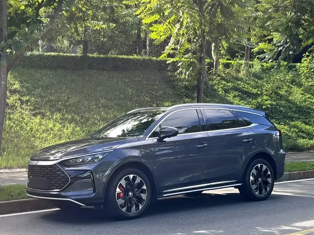 BYD Tang New Energy — фото 1