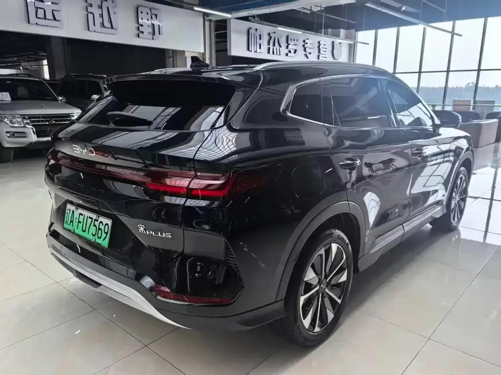 BYD PLUS New Energy — фото 10