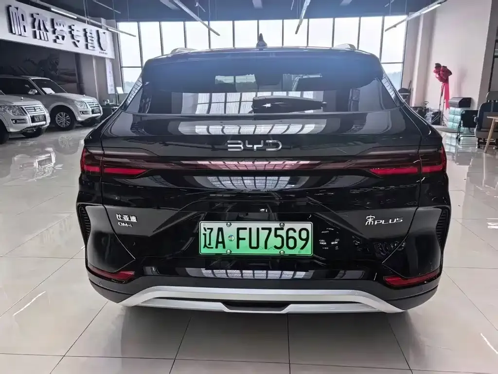 BYD PLUS New Energy — фото 8