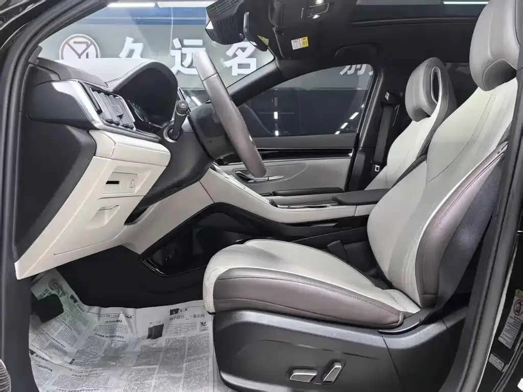 BYD PLUS New Energy — фото 4