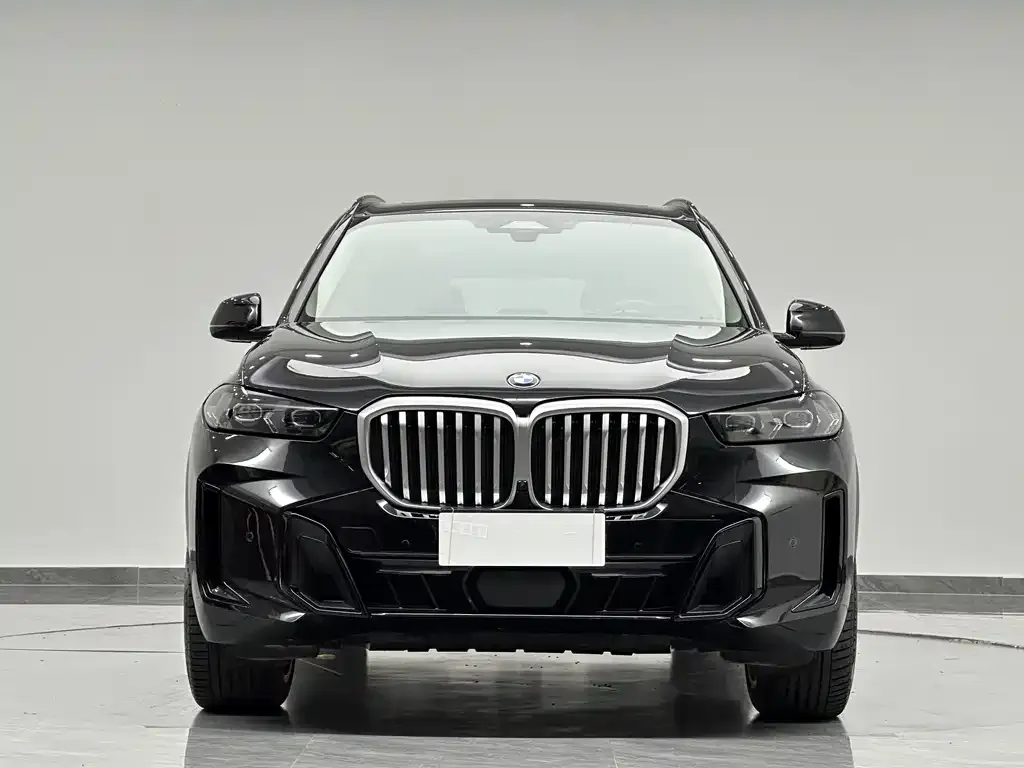 BMW X5 — фото 4