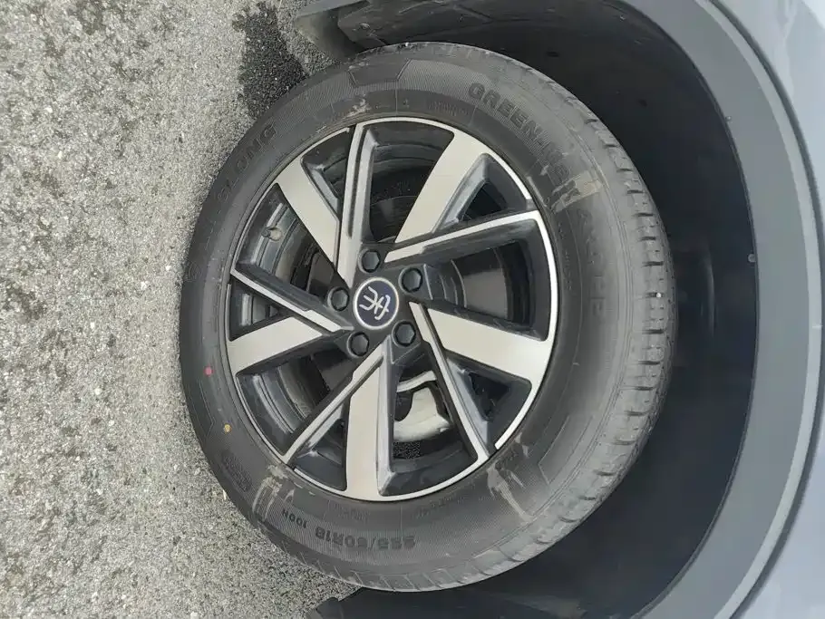 BYD Pro New Energy — фото 4