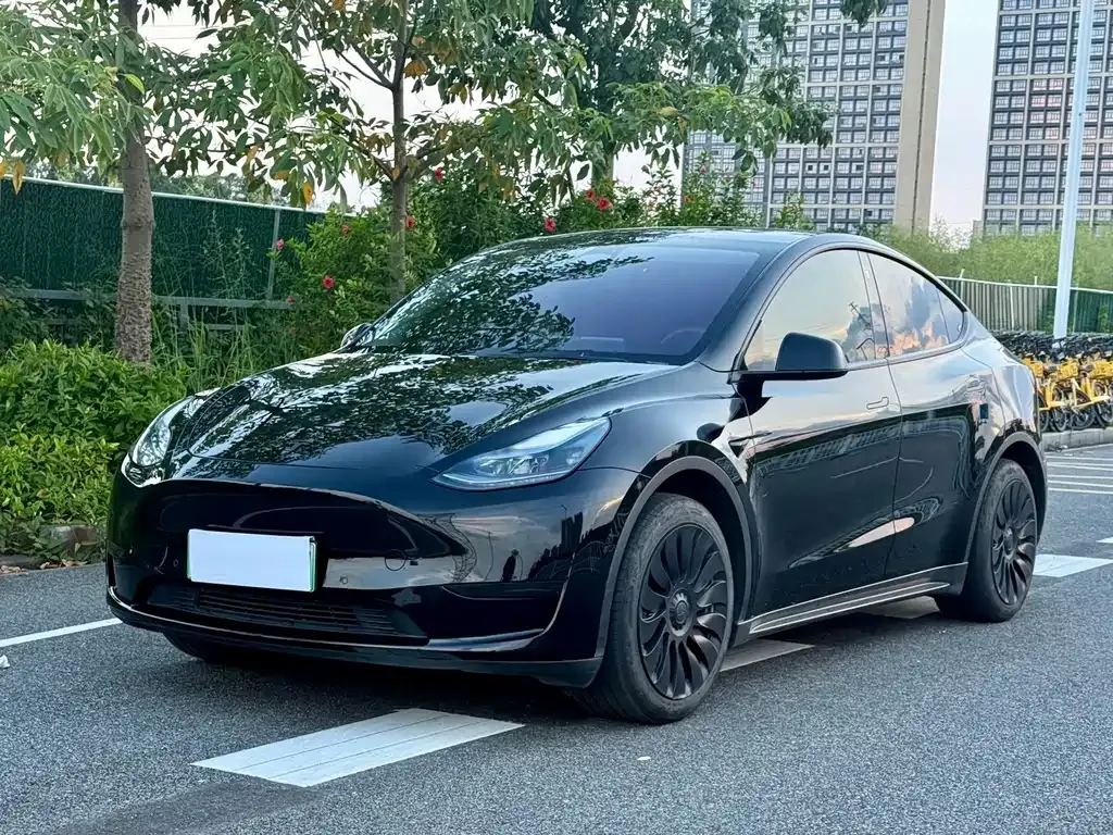 Tesla Model Y — фото 1