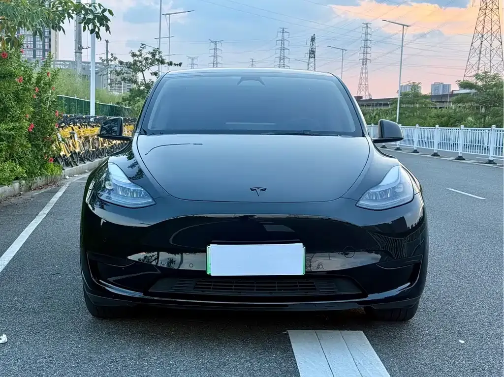Tesla Model Y — фото 7