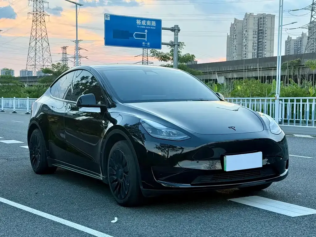 Tesla Model Y — фото 3