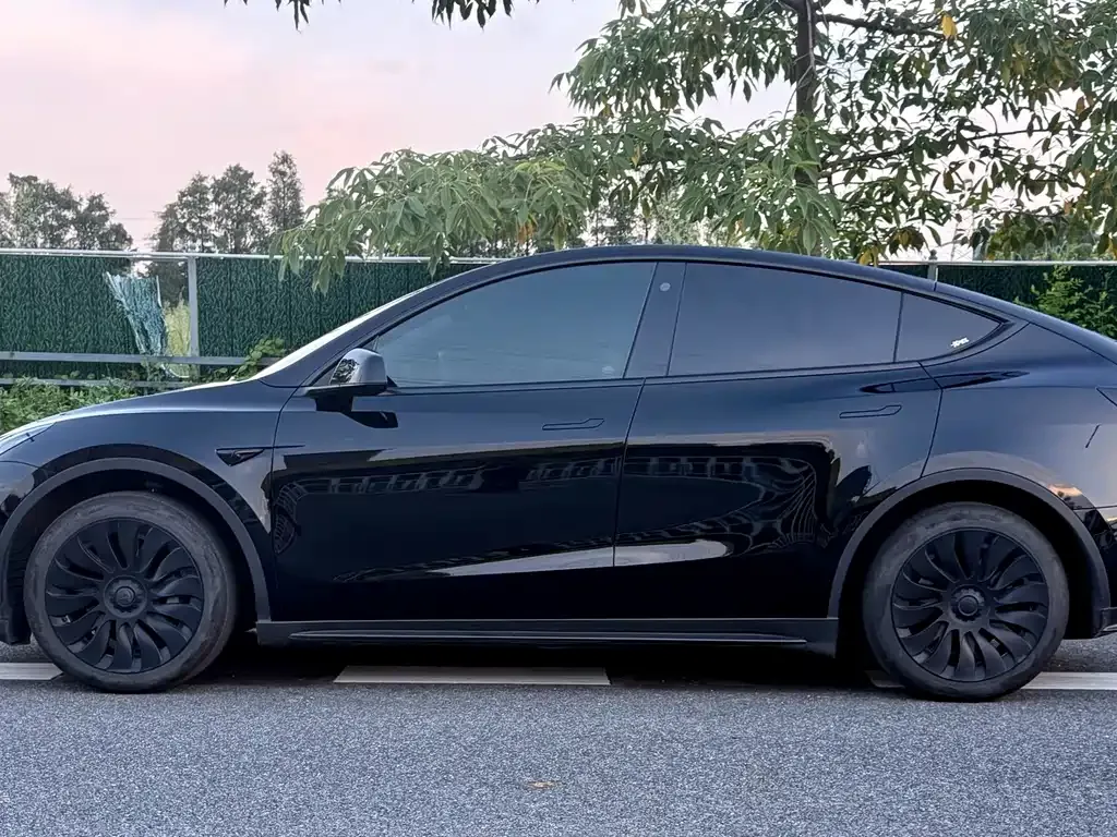 Tesla Model Y — фото 8