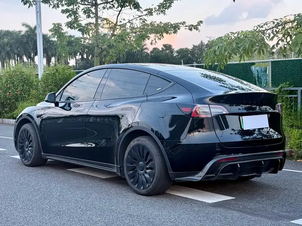 Tesla Model Y — фото 10