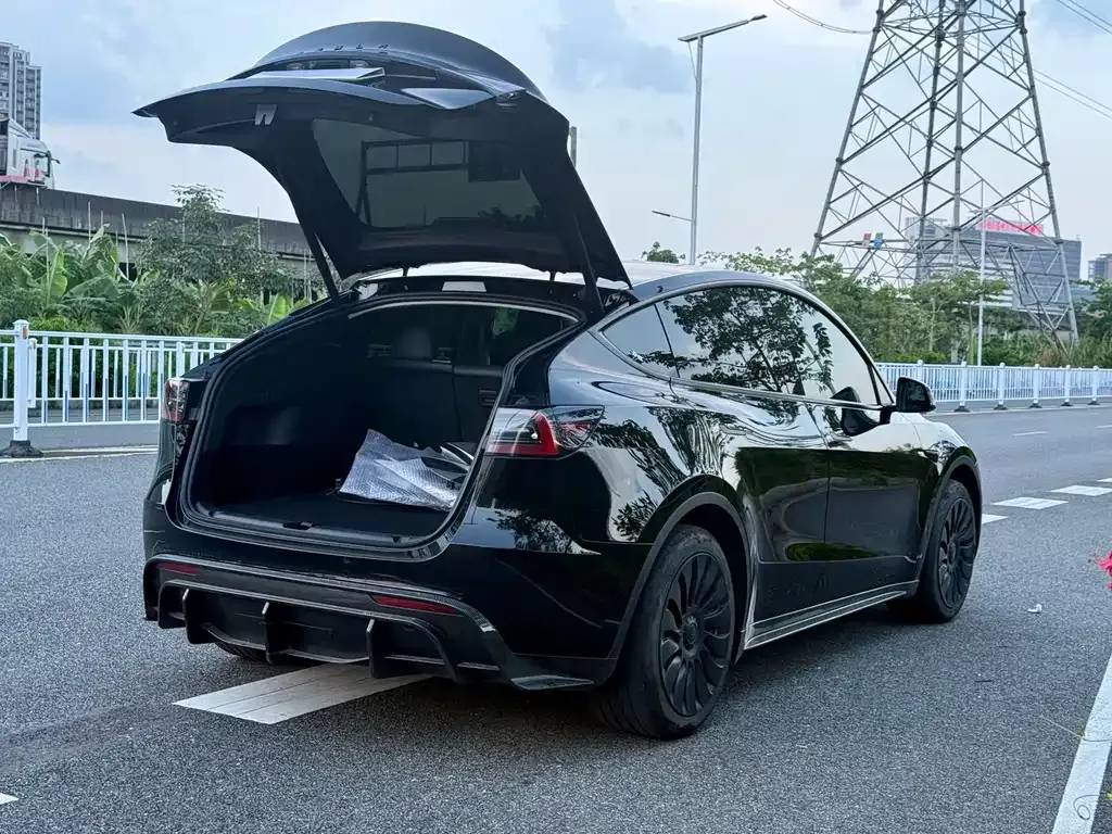 Tesla Model Y — фото 5