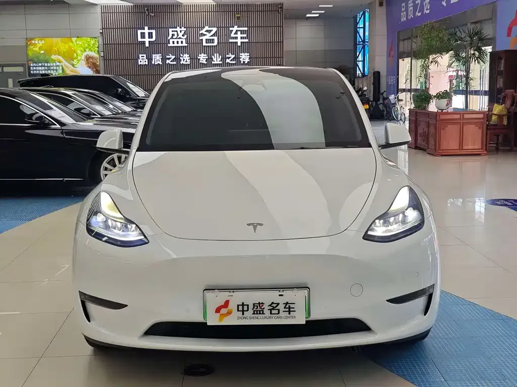 Tesla Model Y — фото 8