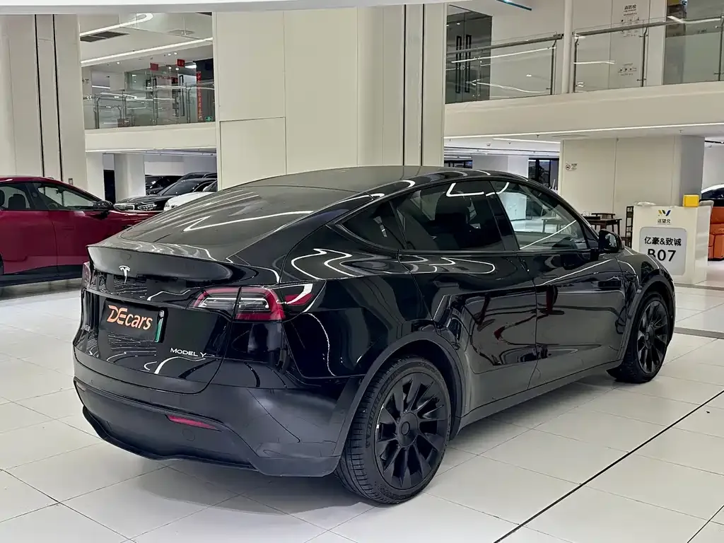 Tesla Model Y — фото 3