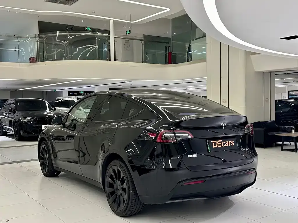 Tesla Model Y — фото 10