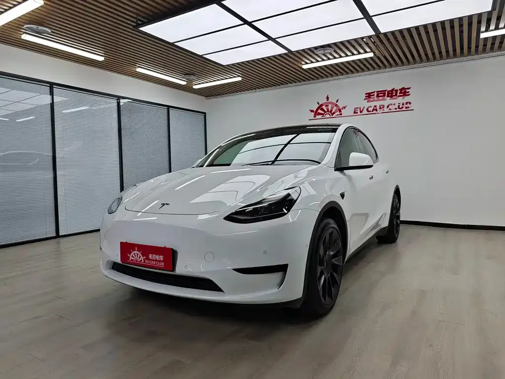 Tesla Model Y — фото 1