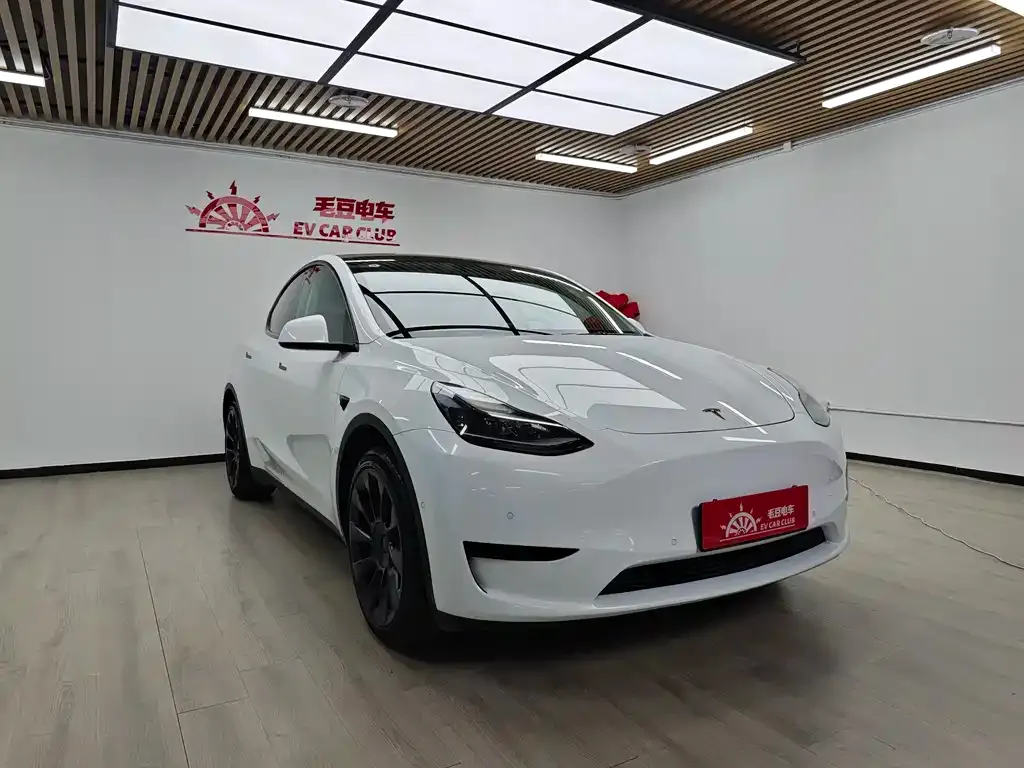 Tesla Model Y — фото 6