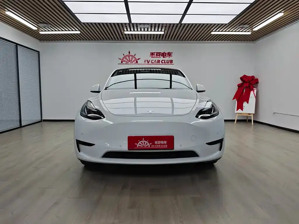 Tesla Model Y — фото 10