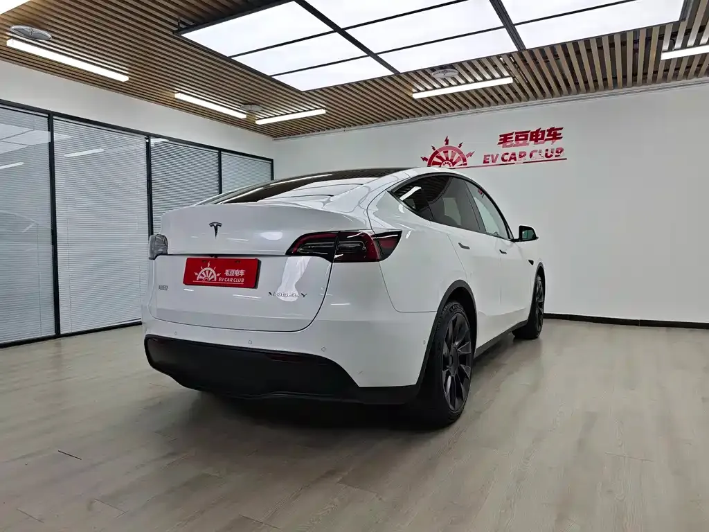 Tesla Model Y — фото 2